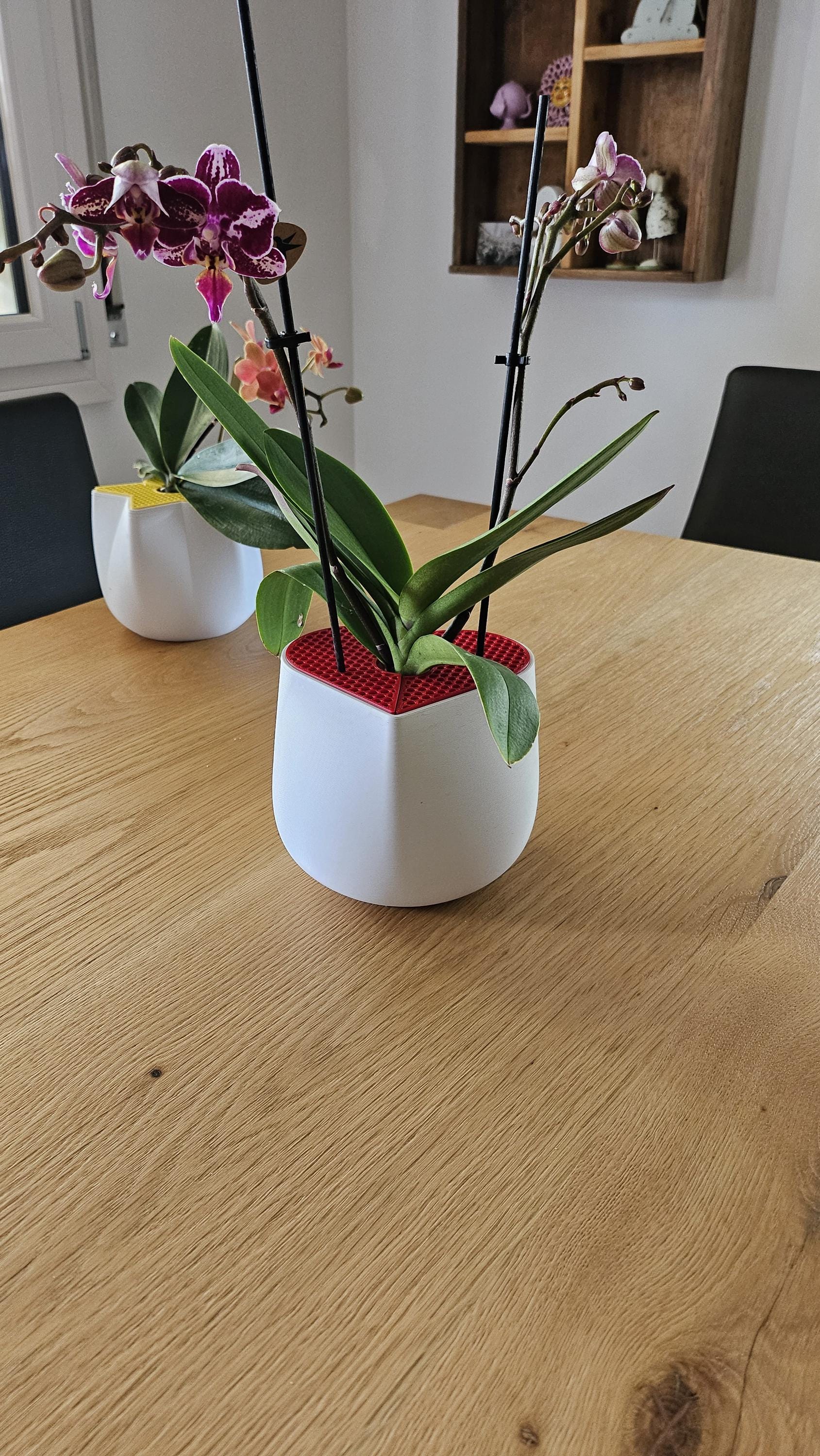 Heart Shaped Vase 3D Printed – Geometric Honeycomb Vase, Modern Decor, Succulent Pot, Minimalist Home Gift, Flower Vase, Made in Italy